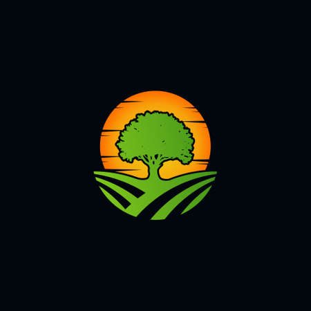 tree with sun light vector logo designのイラスト素材