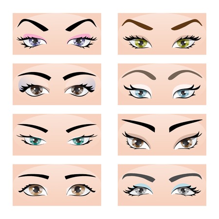 Collection of female eyes and eyebrows of different shapes, different colors, with and without makeupのイラスト素材
