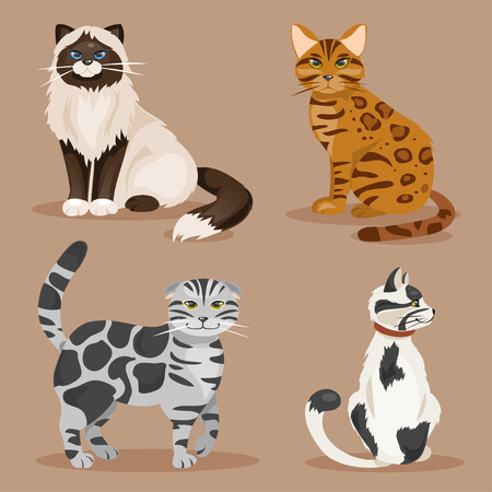Collection of cats of different breeds in a variety of posesのイラスト素材