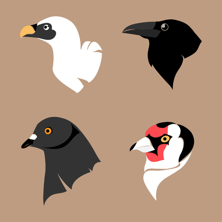 Illustration isolated stylized heads of various birdsのイラスト素材