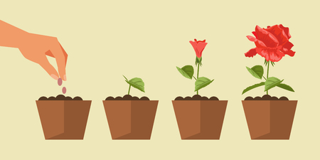 The process of planting and growth of plants. Gardening. Vector illustrationのイラスト素材