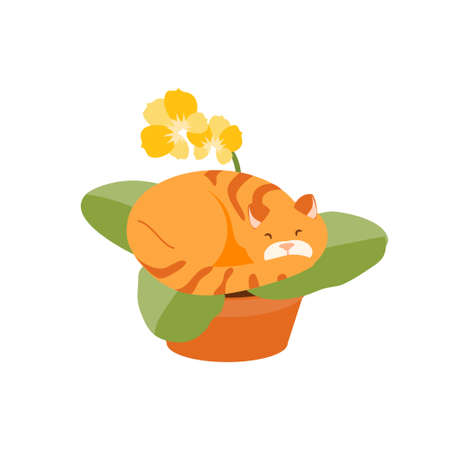 Cat sleeping in a flower potのイラスト素材