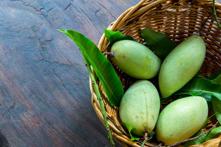 Mangoes on the basketの写真素材