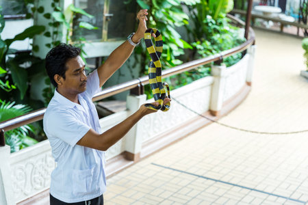 Bangkok / Thailand - May 11 2018: Man performing a Snake Show and shown to tourists at Serpentarium, Thai Red Cross Society.のeditorial素材