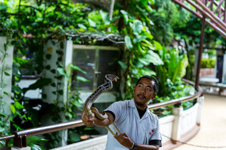 Bangkok / Thailand - May 11 2018: Man performing a Snake Show and shown to tourists at Serpentarium, Thai Red Cross Society.のeditorial素材