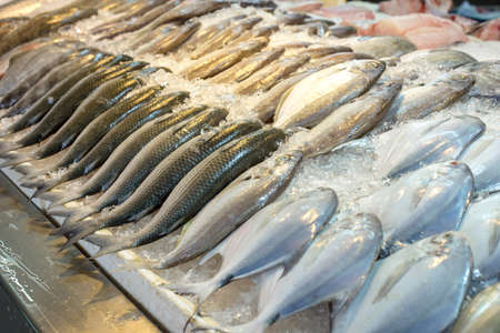 Mixed fresh fish in Thailand market as mulet fish.