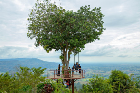 Phitsanulok, THAILAND - December 30, 2018: View of big giant heart tree, have people swing in Phitsanulok Province,Thailand.のeditorial素材