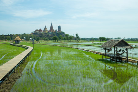 Kanchanaburi, THAILAND - March 29, 2019: The hut in the middle of the field, background with Tiger cave Temple.のeditorial素材
