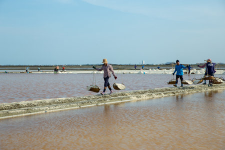 Samut Songkhram / Thailand - April 14 2019 : Worker carrying wooden baskets full of salt on shoulder and walking on salt field to storehouseのeditorial素材
