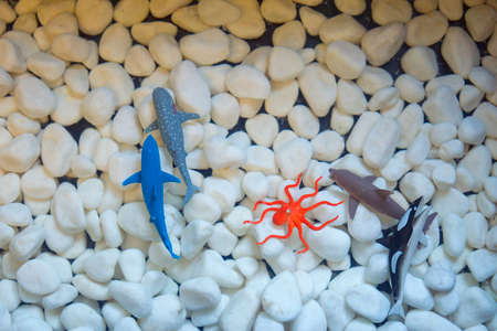 Colorful of Fake fish plastic or fish model.の写真素材