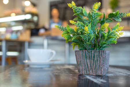 Tree that decorate the room. Pot fake plant with bokeh effect.の写真素材