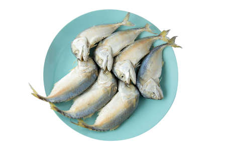 Big size of Steamed mackerel fish on blue plate on white background, focus selectiveの写真素材