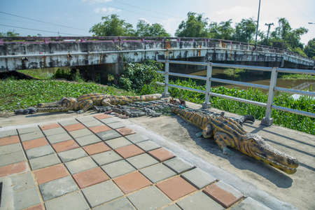 Fake crocodile make from cementの写真素材