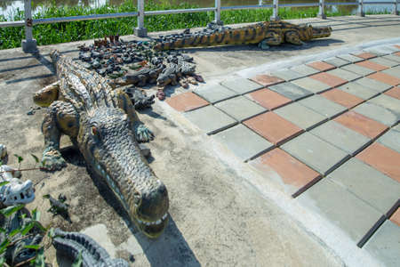 Fake crocodile make from cementの写真素材