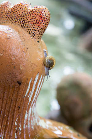 Close up of small snail on stoneの写真素材