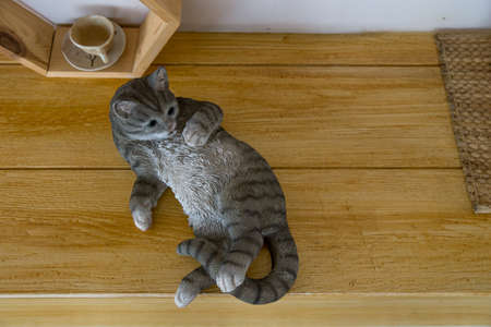 Die cut Kitty doll on wood terraceの写真素材