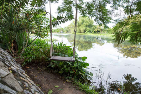 Wooden swing hanging by rope on a tree branch near the riversideの写真素材