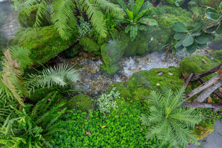 Landscaping design with many tree in the garden