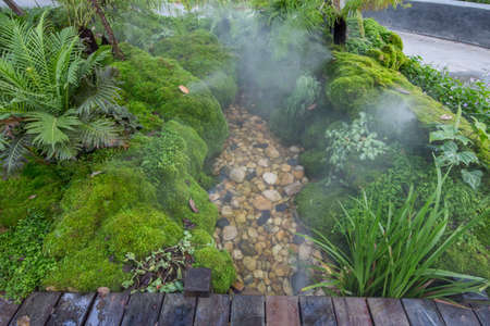 Landscaping design with many tree in the garden