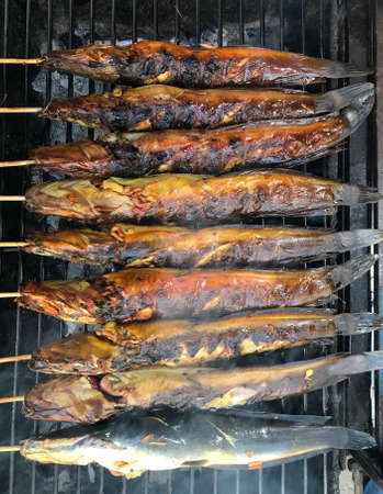 Die cut of red grilled tilapias on the stainless colander on white isolated.の写真素材