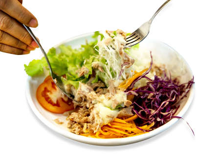 Die cut of varitiesâ creativeâ dishâ of steaks on white isolatedの写真素材