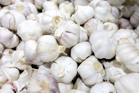 The group of garlic in the marketの写真素材