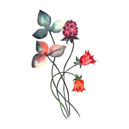 Flowers. Watercolor floral set with spring flowers. Watercolor isolated illustrationの写真素材