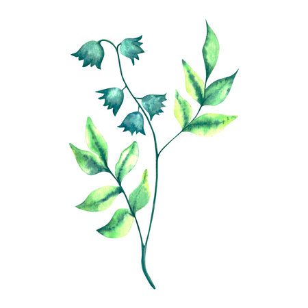 Flowers. Watercolor floral set with spring flowers. Watercolor isolated illustrationの写真素材