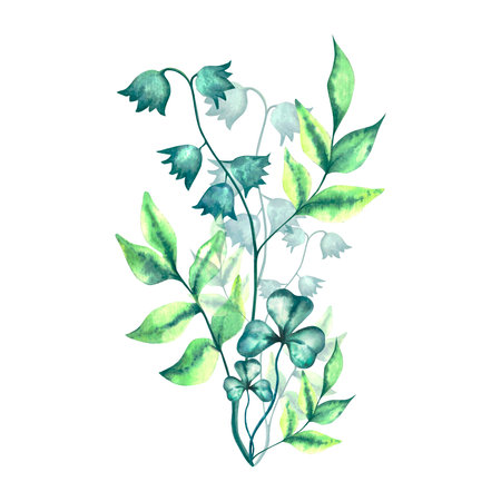 Flowers. Watercolor floral set with spring flowers. Watercolor isolated illustrationの写真素材