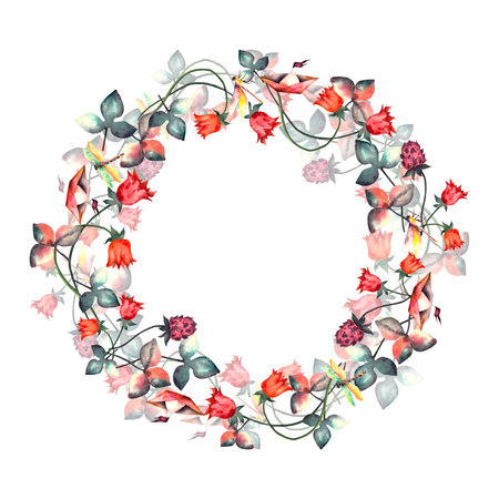 Wreath. Watercolor flower wreath. Watercolor frame of hand painted spring wild flowers and dragonflies.の写真素材
