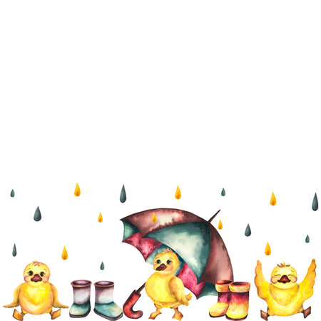 Coupon. Watercolor coupon with ducklings, boots umbrella and shipsの写真素材