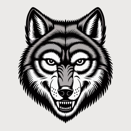 Detailed illustrated wolf head with snarling teeth and piercing eyes in black and whiteのイラスト素材