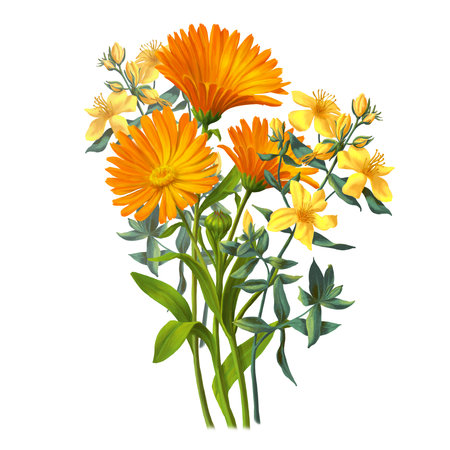 Medical herb for Pharmacy Package illustration. Hand drawn herbs for treatment and alternative medicine. Healthcare herbs. Pharmacy collection for Package designの写真素材