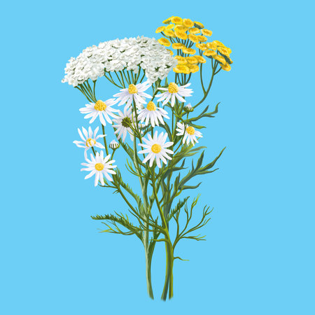 Medical herb for Pharmacy Package illustration. Hand drawn herbs for treatment and alternative medicine. Healthcare herbs. Pharmacy collection for Package designの写真素材