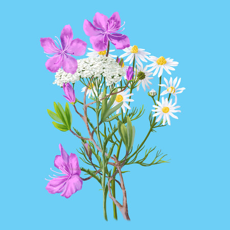 Medical herb for Pharmacy Package illustration. Hand drawn herbs for treatment and alternative medicine. Healthcare herbs. Pharmacy collection for Package designの写真素材