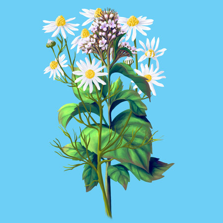 Medical herb for Pharmacy Package illustration. Hand drawn herbs for treatment and alternative medicine. Healthcare herbs. Pharmacy collection for Package designの写真素材