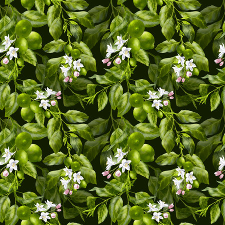Lemon or Lime tree branches. Lemon fruits and flowers on the branch. Foliage and blossom on the garden tree. Summer harvest. Green sour fruits. Hand drawn seamless patternの写真素材