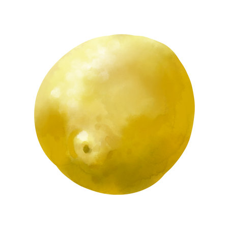 Lemon fruit with leaf. Summer harvest. Yellow and green sour fruits. Hand drawn illustration of Citrusの写真素材