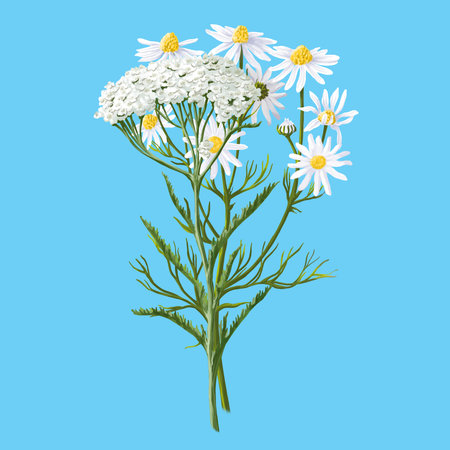 Medical herb for Pharmacy Package illustration. Hand drawn herbs for treatment and alternative medicine. Healthcare herbs. Pharmacy collection for Package designの写真素材