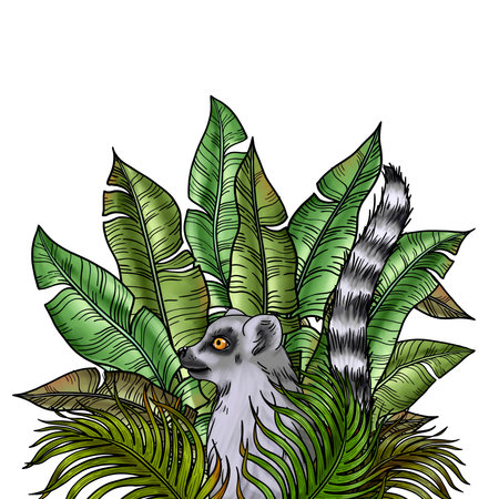Cartoon Lemur in the Jungle. Gray ring-tailed lemur sitting in the lush Foliage of tropical greenery. Hand painted Summer picture with Madagascar mammalの写真素材