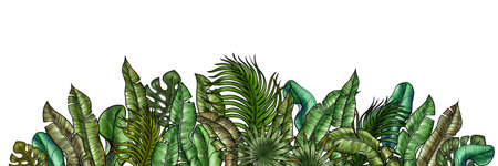 Hand drawn bush with lush tropical greenery for Card and Invitation. Foliage of palm and banana tree tropical leaves. Rainforest greeneryの写真素材