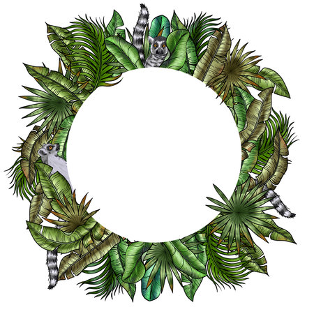 Cartoon Lemur in the Jungle. Gray ring-tailed lemur sitting in the lush Foliage of tropical greenery. Hand painted Summer picture with Madagascar mammalの写真素材