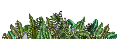 Hand drawn bush with lush tropical greenery for Card and Invitation. Foliage of palm and banana tree tropical leaves. Rainforest greenery and lemurs in itの写真素材