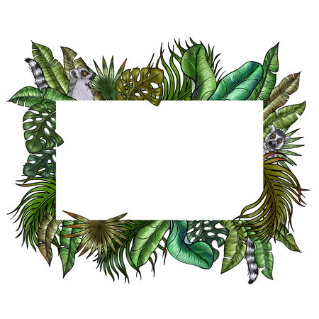 Cartoon Lemur in the Jungle. Gray ring-tailed lemur sitting in the lush Foliage of tropical greenery. Hand painted Summer picture with Madagascar mammalの写真素材