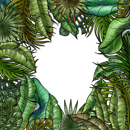 Hand drawn rectangular frame with lush tropical greenery for Card and Invitation. Foliage of palm and banana tree with other green tropical leaves. Rainforest greeneryの写真素材