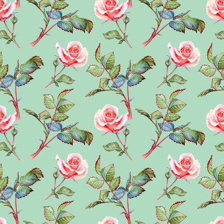 Hand-painted watercolor pink and cream roses, buds, leaves, bouquets with gypsophilaの写真素材