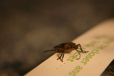 Closerの写真素材