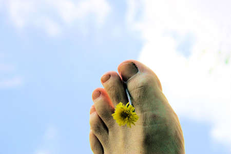 Love lifeの写真素材