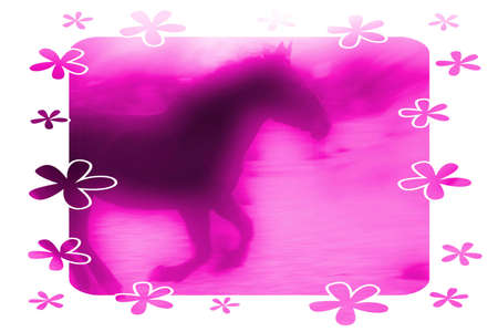 Pink Horseの写真素材
