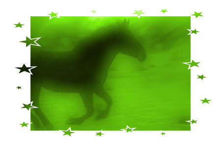 Horse Shirt Designの写真素材